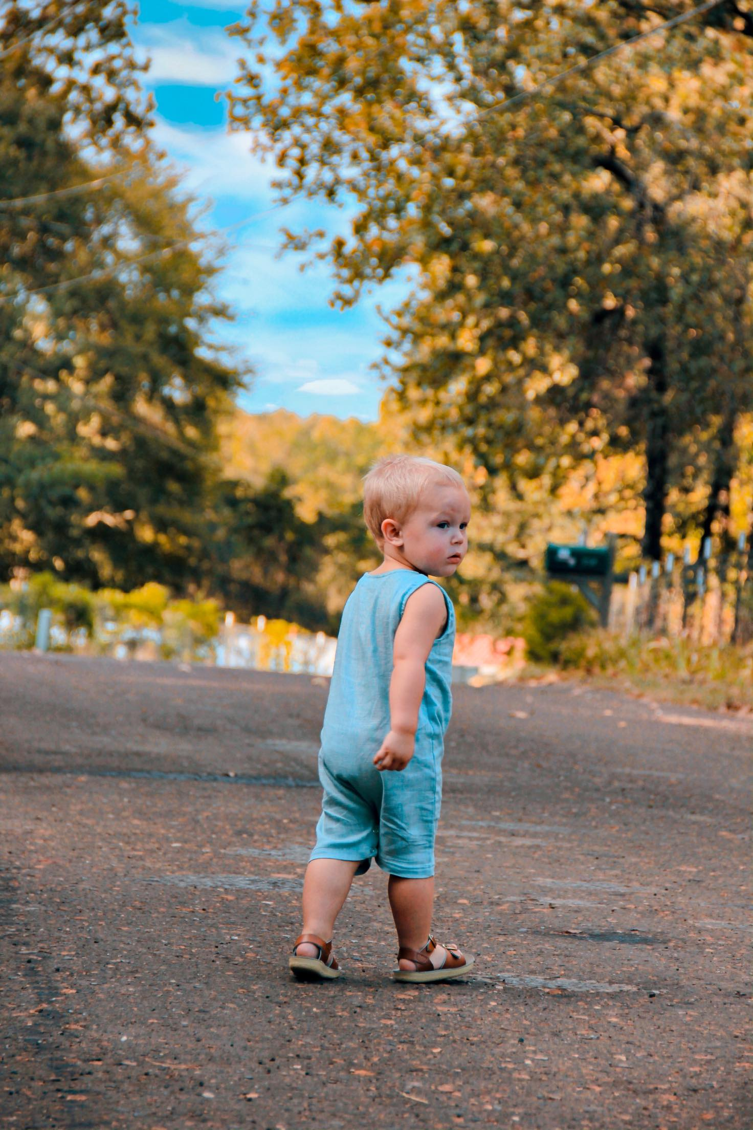 You are currently viewing 