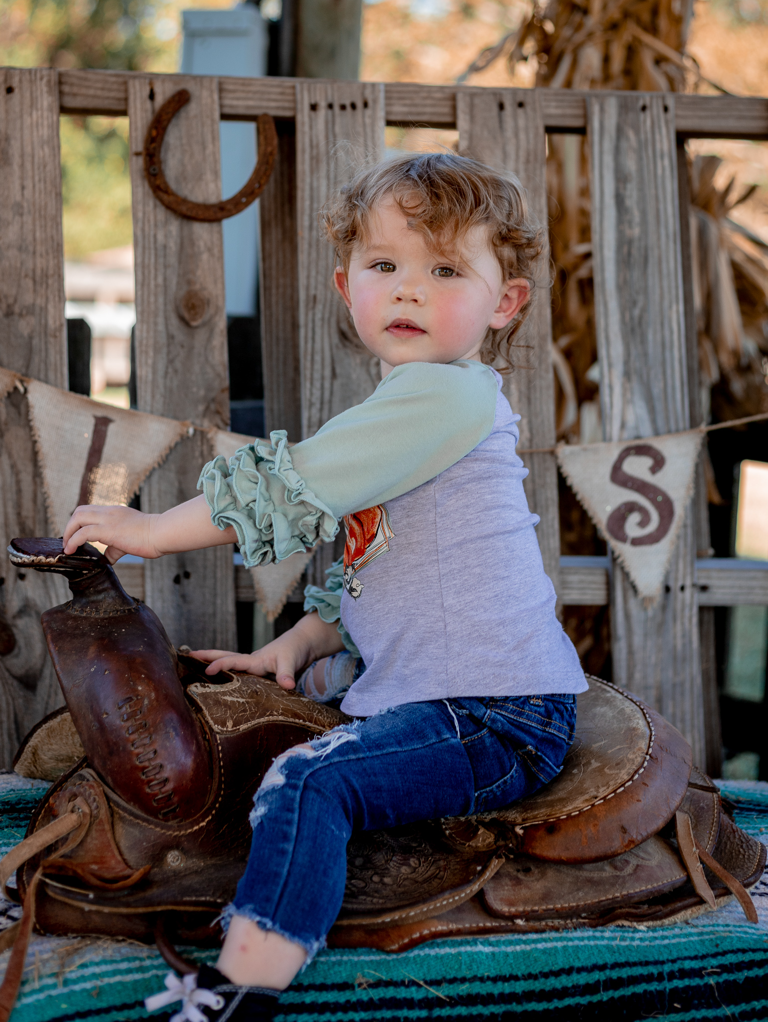 You are currently viewing 